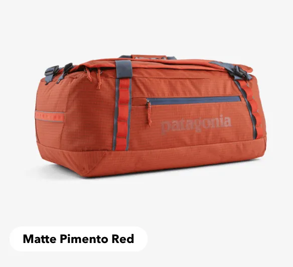 Patagonia Black Hole® Duffel 40L